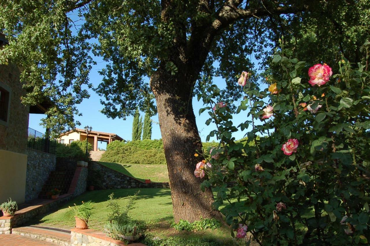 Agriturismo Il Palazzo Pergine Valdarno Экстерьер фото